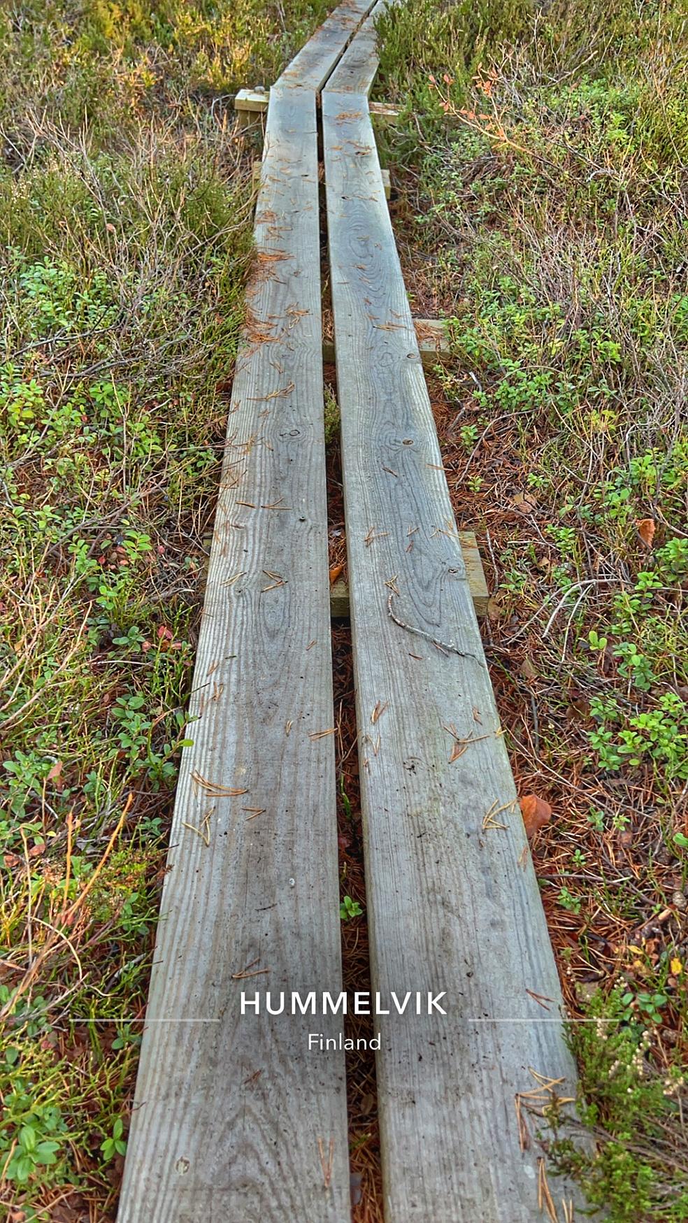 Kävele omanlaista ADHD polkua by Nepsyvalmentaja Netta Saranen